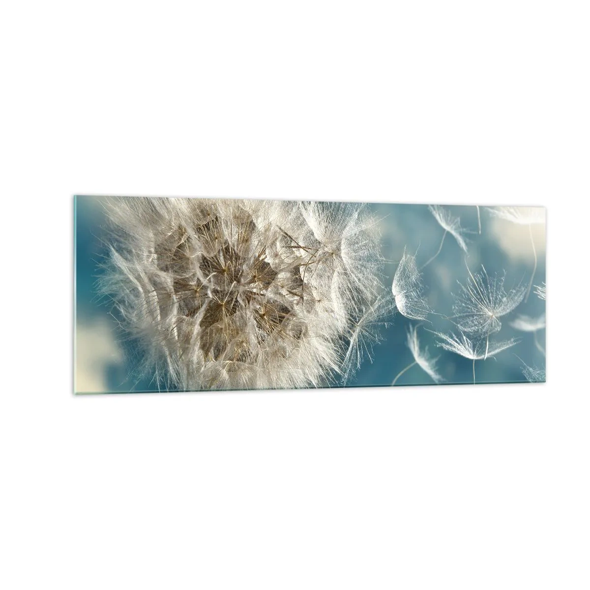 Glasbild - Bild auf glas - Ein verwelkter Löwenzahn vor blauem Himmel - 140x50cm - Engelsatem - Moderne Wanddekoration für Wohnzimmer und Schlafzimmer ARTTOR