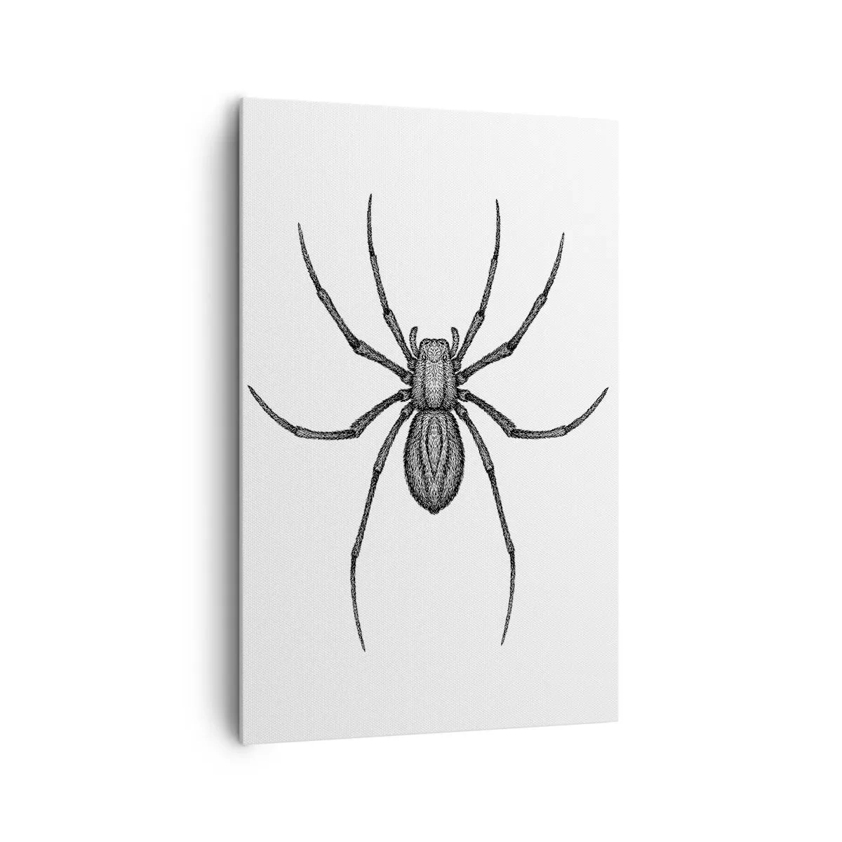 Bild auf Leinwand - Leinwandbild - Detail einer Spinne auf weißem Hintergrund im Cartoon-Stil - 80x120cm - Beunruhigende Präzision - Moderne Wanddekoration für Wohnzimmer und Schlafzimmer ARTTOR