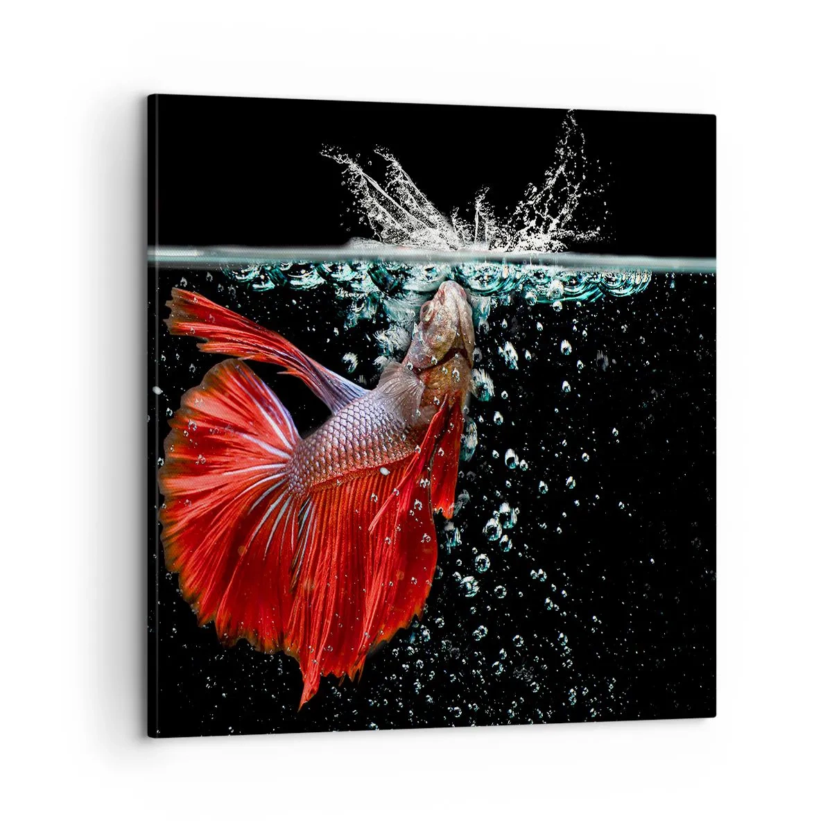 Bild auf Leinwand - Leinwandbild - Du hast drei Wünsche - 60x60 cm