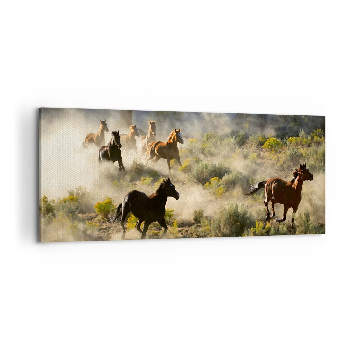 Bild auf Leinwand - Leinwandbild - Rivalität – Freiheit oder männliche Stärke? - 100x40 cm