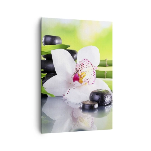 Bild auf Leinwand - Leinwandbild - Orchidee, Steine und Bambus in einer harmonischen Spa-Komposition - 70x100cm - Kühle Frische - Moderne Wanddekoration für Wohnzimmer und Schlafzimmer ARTTOR