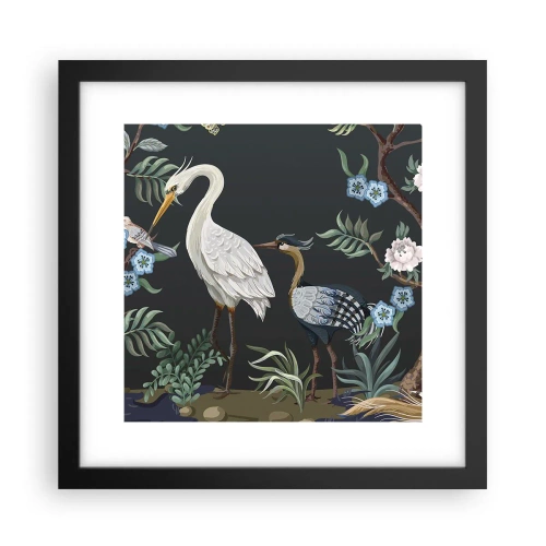 Poster in einem schwarzem Rahmen - Vogelparade - 30x30 cm