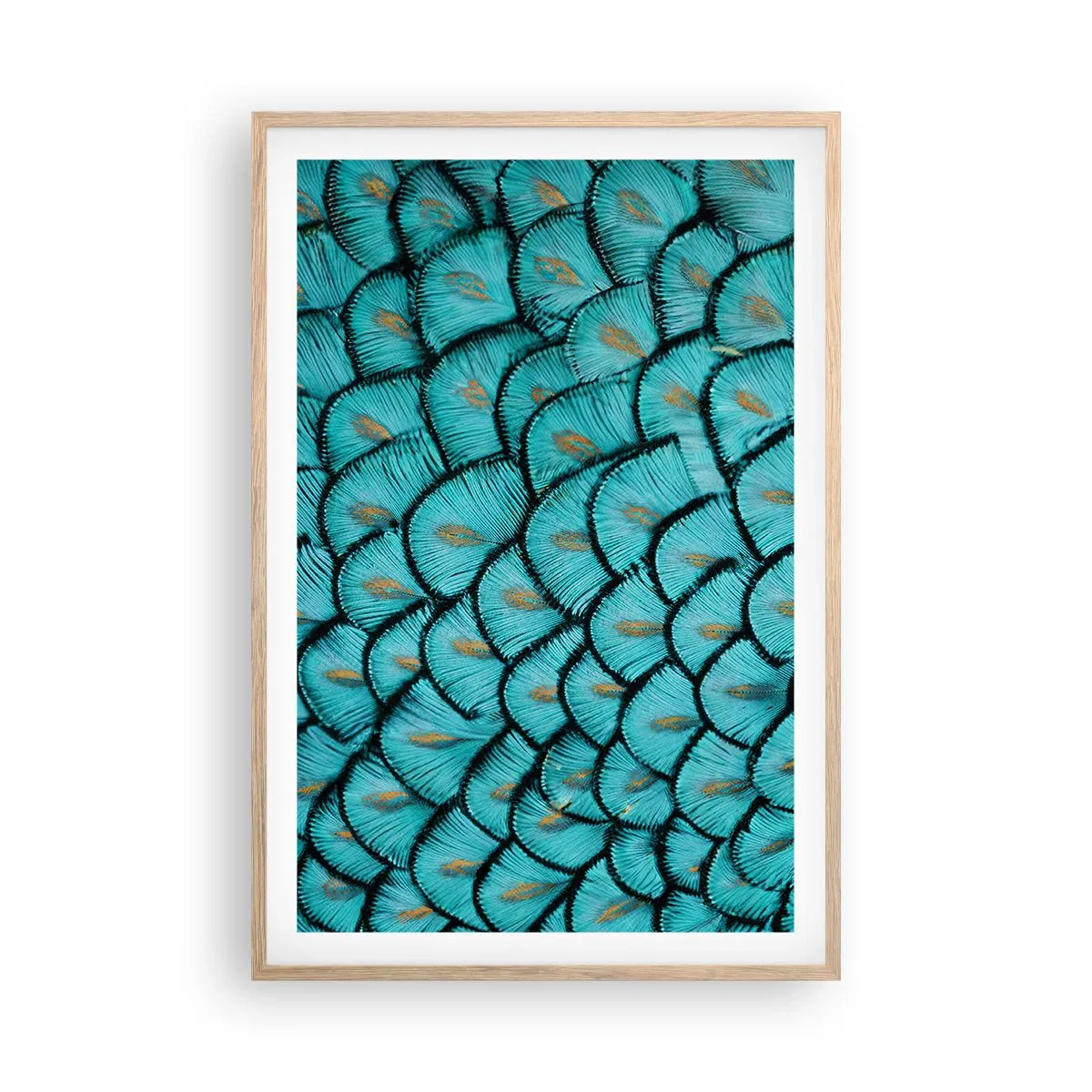 Poster in einem Rahmen aus heller Eiche - Große Federgala - 61x91 cm