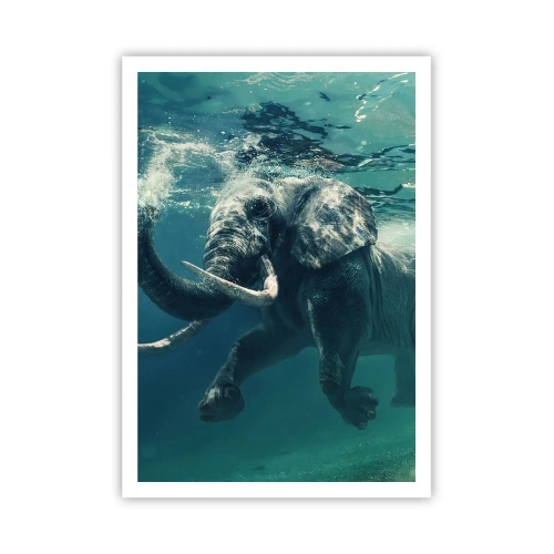 Poster - Jeder schwimmt gerne - 70x100 cm