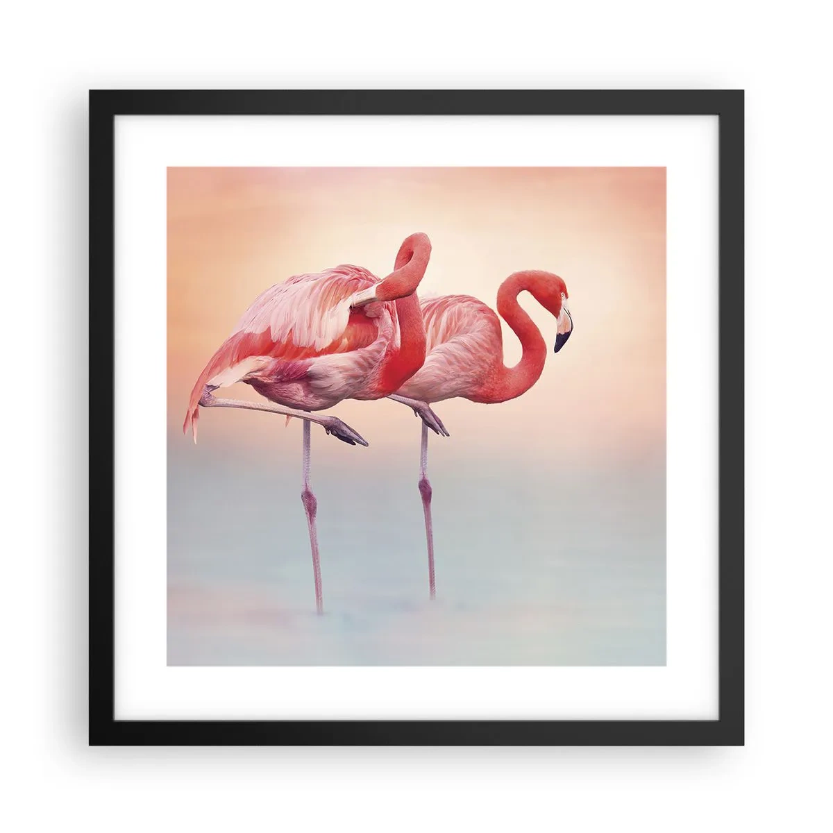 Poster in einem schwarzem Rahmen - Die Farbe der untergehenden Sonne - 40x40 cm