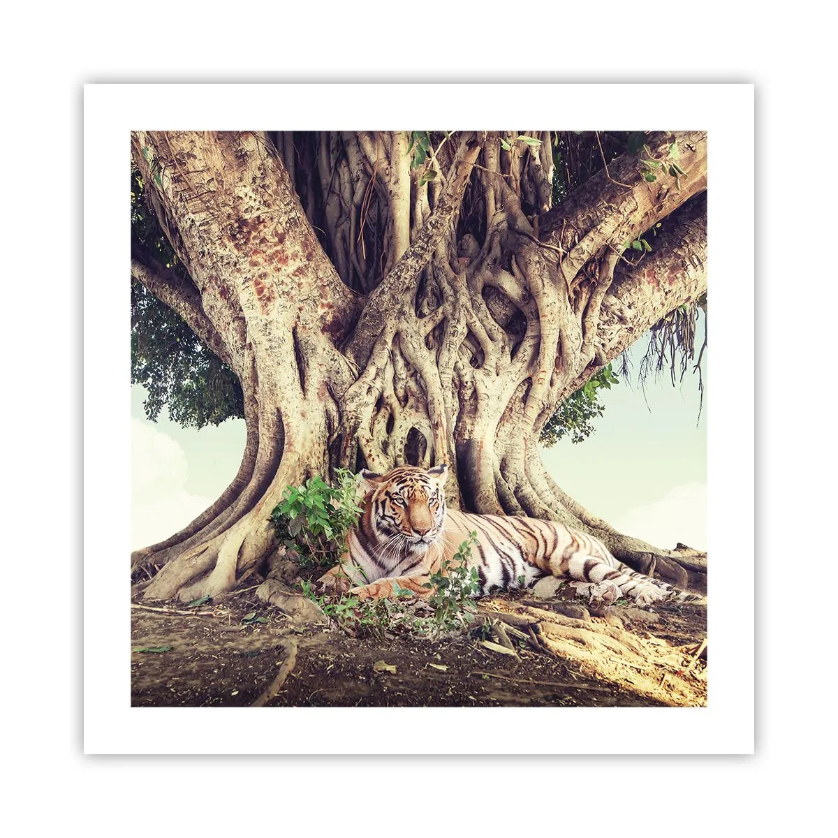 Poster - Blick aus dem Buch Genesis - 50x50 cm