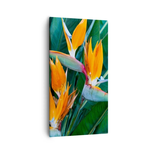 Bild auf Leinwand - Leinwandbild - Ist es eine Blume oder ist es ein Vogel? - 55x100 cm