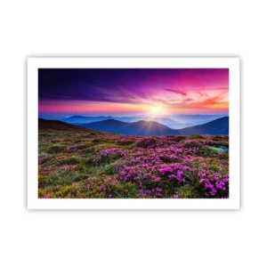 Poster - Kräuter dufteten nach frischen Trauben von den Feldern - 70x50 cm