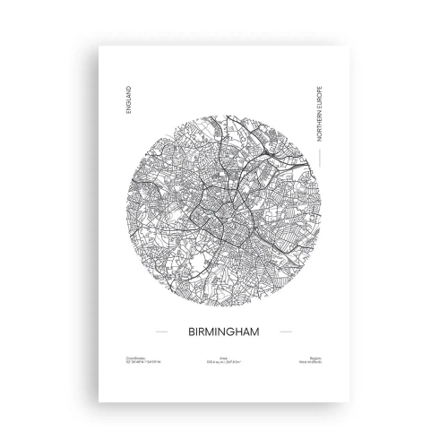 Poster - Anatomie von Birmingham - 70x100 cm
