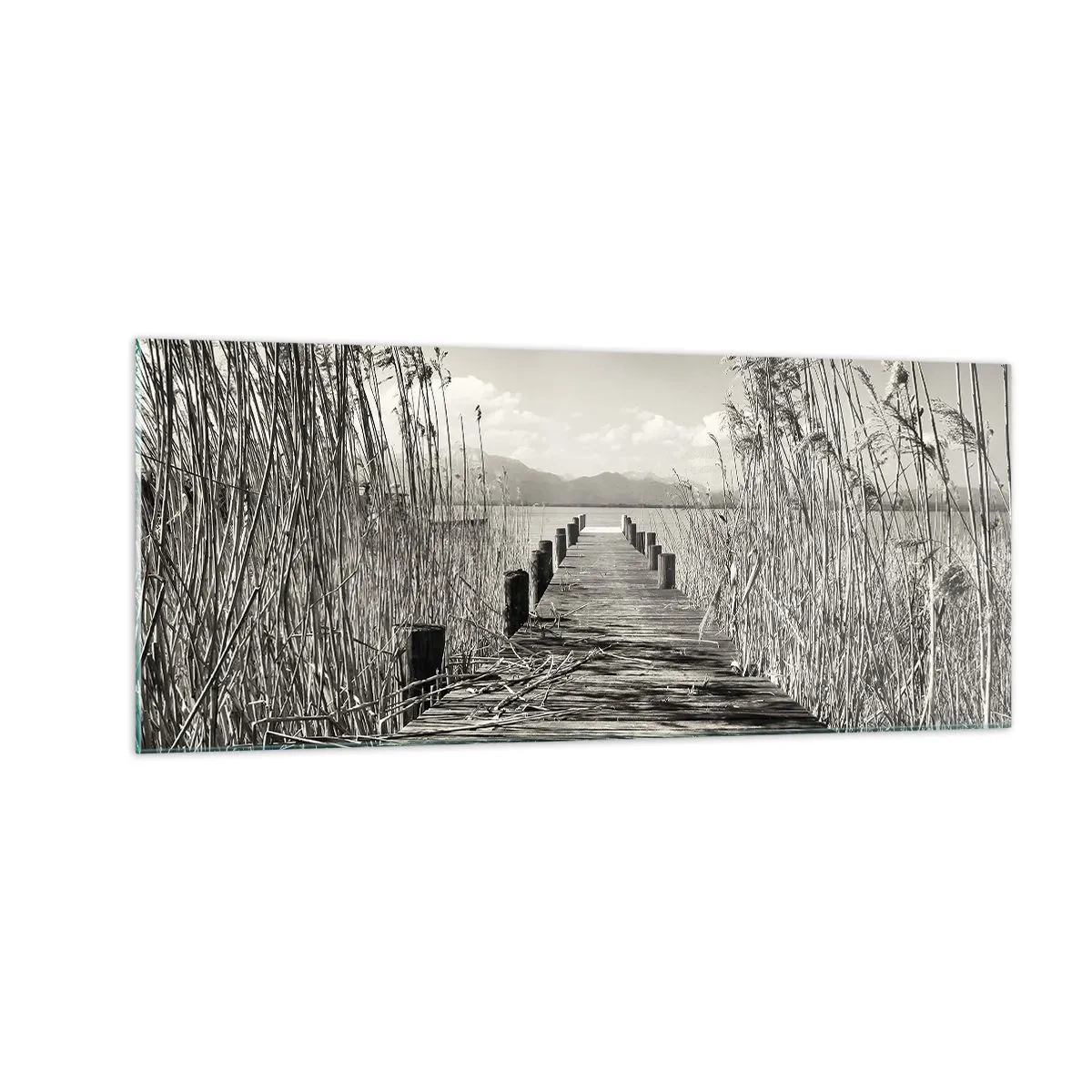 Glasbild - Bild auf glas - In der Stille des Grases - 100x40 cm