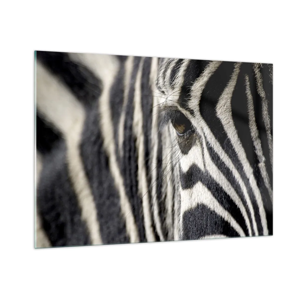 Glasbild - Bild auf glas - Nahaufnahme eines Zebraauges und schwarz-weißer Streifen - 100x70cm - Gestreiftes Porträt - Moderne Wanddekoration für Wohnzimmer und Schlafzimmer ARTTOR
