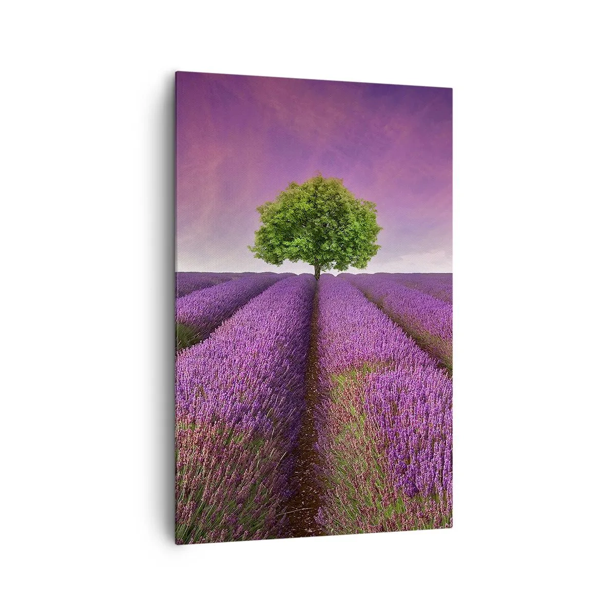 Bild auf Leinwand - Leinwandbild - Ein Lavendelfeld mit einem einsamen Baum und einem violetten Himmel - 80x120cm - Auf Lavendelfeldern - Moderne Wanddekoration für Wohnzimmer und Schlafzimmer ARTTOR