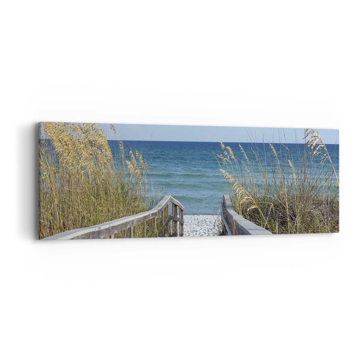 Bild auf Leinwand - Leinwandbild - In der Sonne, im Wind - 90x30 cm