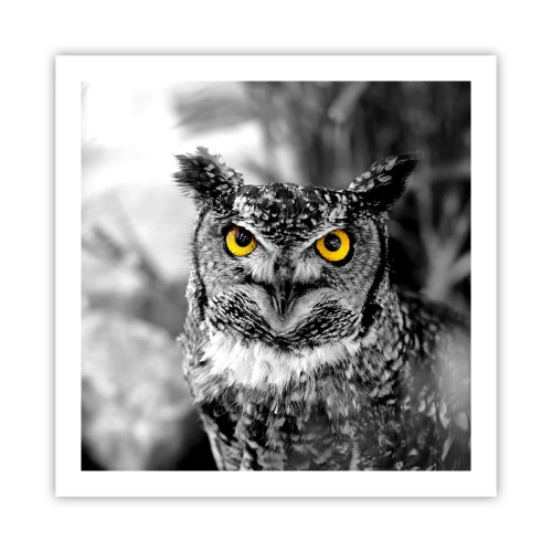 Poster - Nichts wird sich verstecken - 60x60 cm