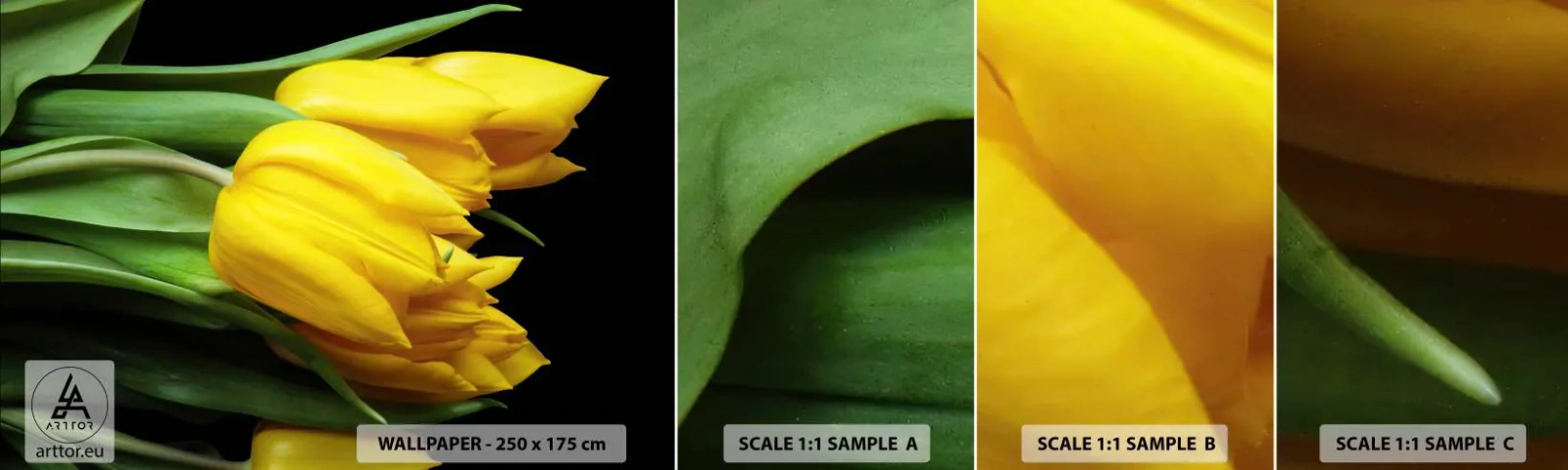 Fototapetenmuster Standard Eco - Aus klarer Sonne entstanden - Blumen, Tulpen, Blumenstrauß - 100x30 cm