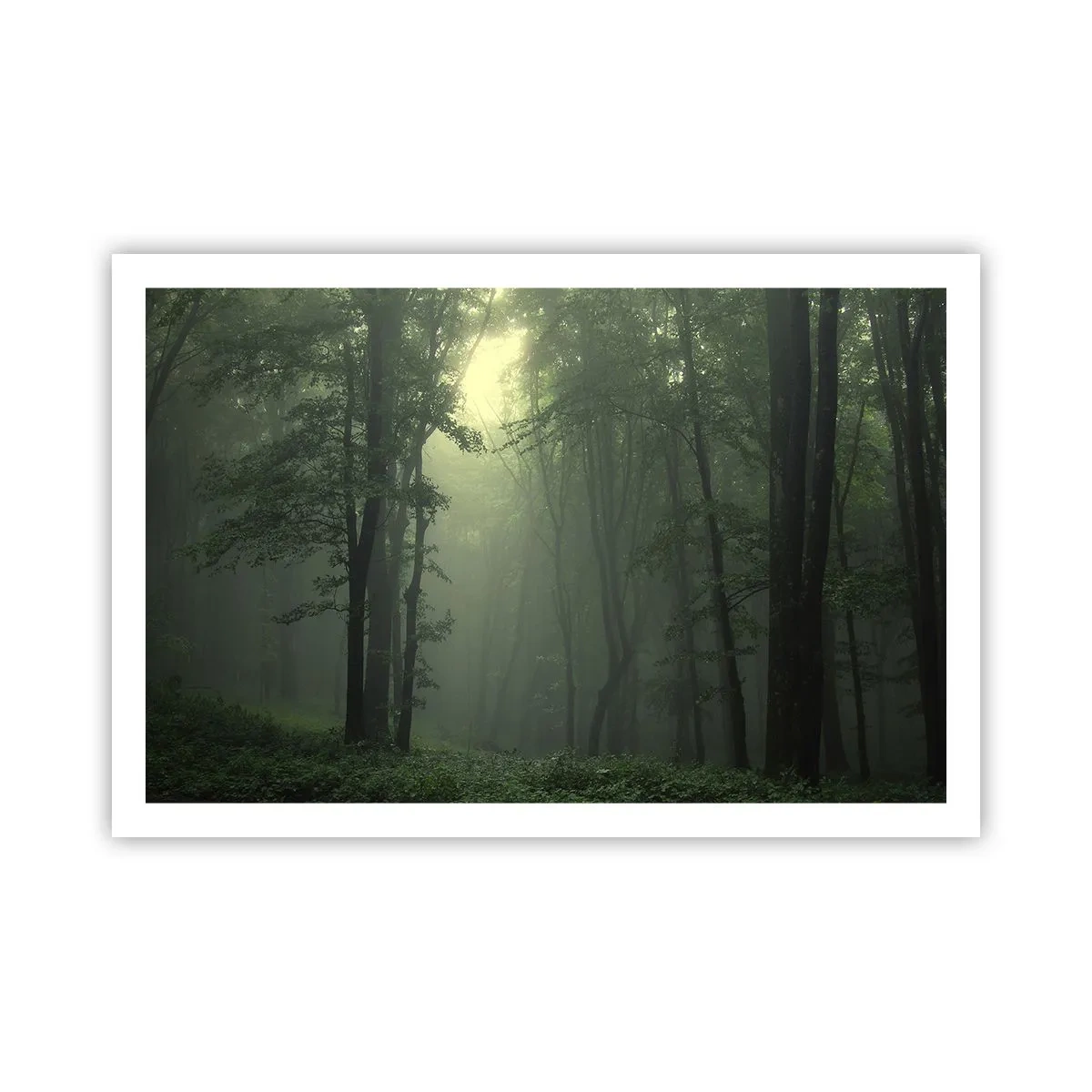 Poster - Bevor er aufwacht - 91x61 cm