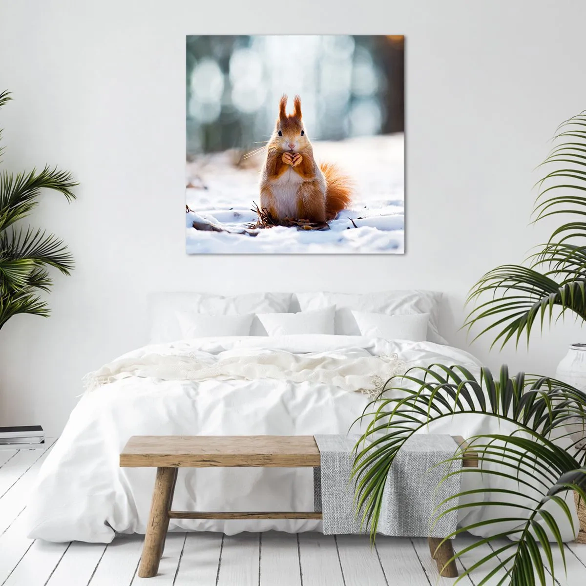 Bild auf Leinwand - Leinwandbild - Wo schaust du hin? - 50x50 cm