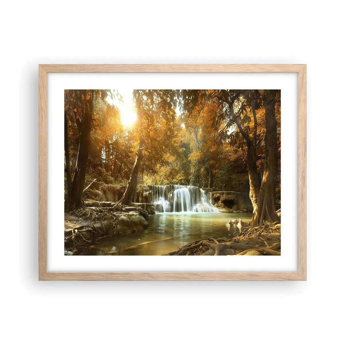 Poster in einem Rahmen aus heller Eiche - Parkkaskade - 50x40 cm