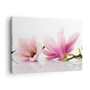 Bild auf Leinwand - Leinwandbild - Zarte rosa Magnolien auf weißem Hintergrund - 70x50cm - Zart wie ein Frühlingswind - Moderne Wanddekoration für Wohnzimmer und Schlafzimmer ARTTOR