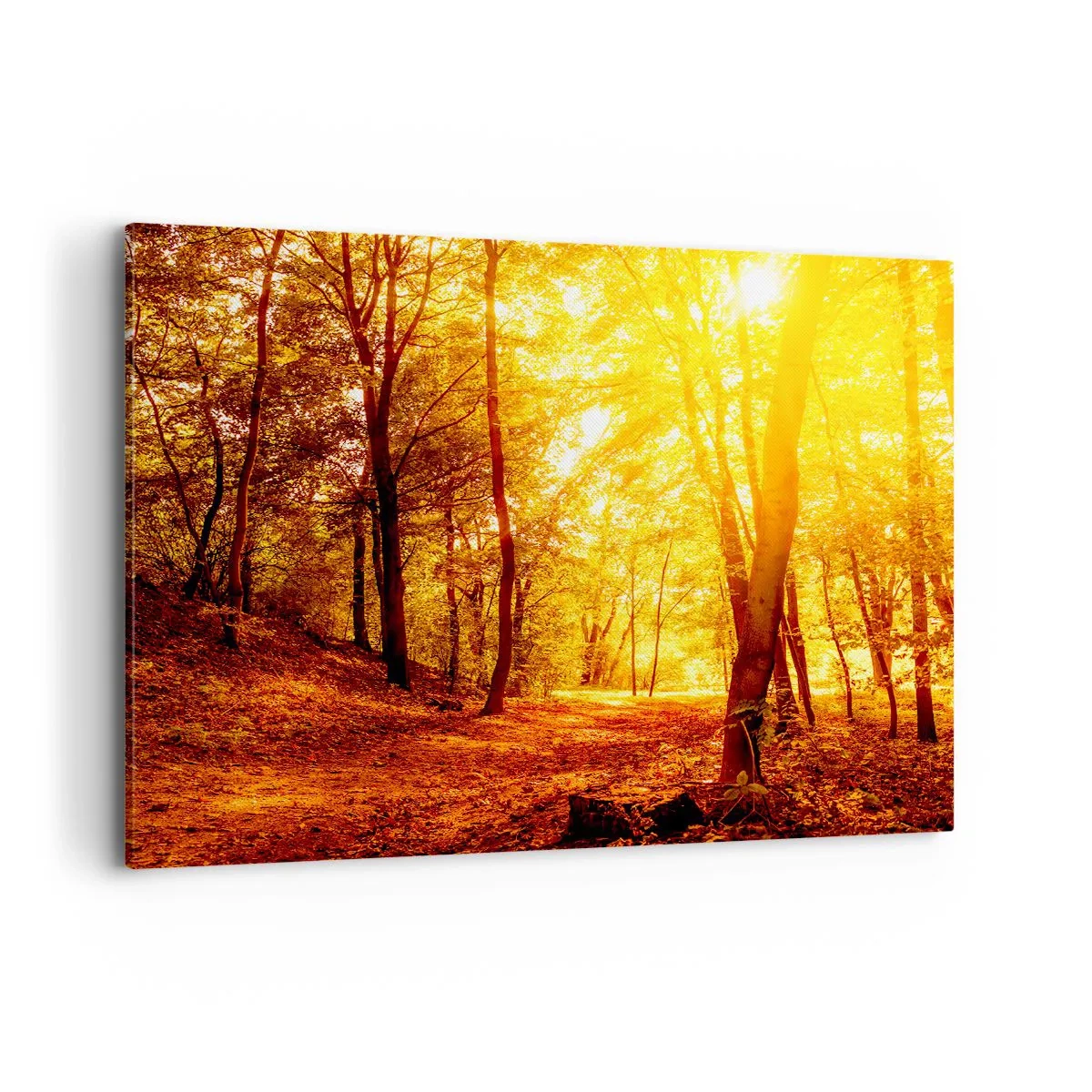 Bild auf Leinwand - Leinwandbild - Herbstlichtung im goldenen Sonnenlicht mit einem Waldweg - 120x80cm - Auf die goldene Lichtung - Moderne Wanddekoration für Wohnzimmer und Schlafzimmer ARTTOR