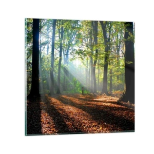 Glasbild - Bild auf glas - Licht und Schatten - 70x70 cm