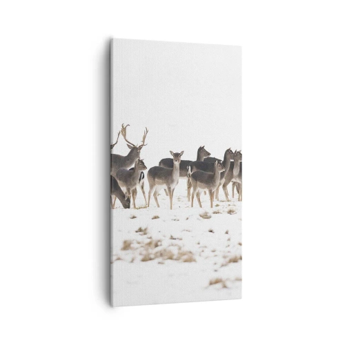 Bild auf Leinwand - Leinwandbild - Kommen die Weihnachten? - 55x100 cm