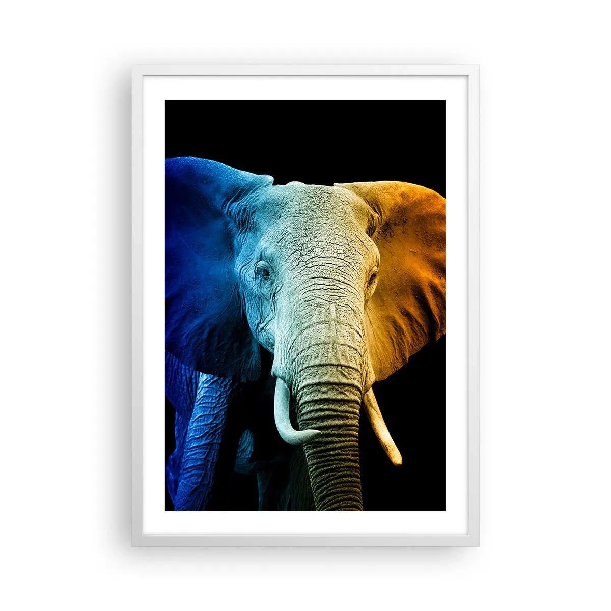 Poster in einem weißen Rahmen - Exzentrisch, kein Verrückter - 50x70 cm