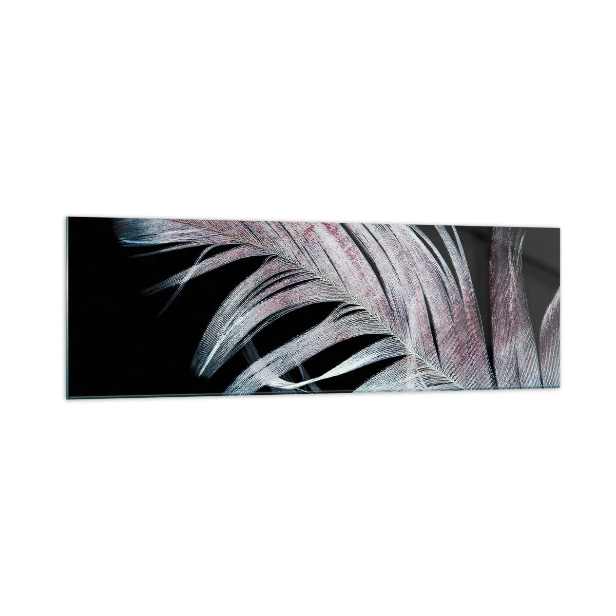 Glasbild - Bild auf glas - Eine zarte Feder auf schwarzem Hintergrund in einem künstlerischen Ansatz - 160x50cm - Denke an Berührung - Moderne Wanddekoration für Wohnzimmer und Schlafzimmer ARTTOR