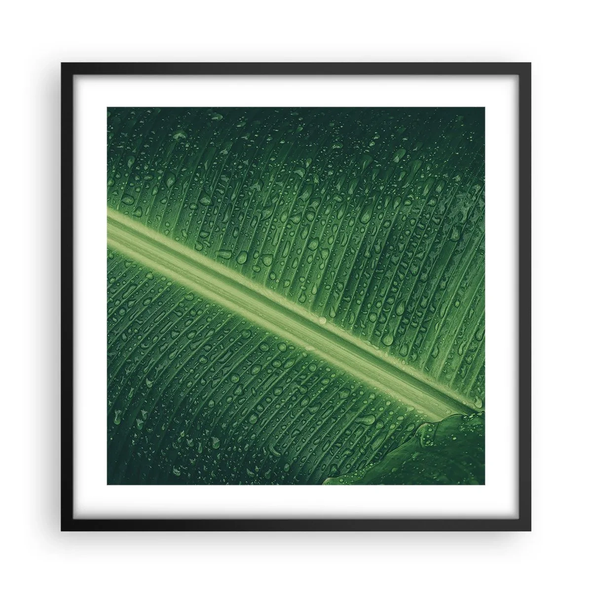 Poster in einem schwarzem Rahmen - Die Struktur des Grüns - 50x50 cm