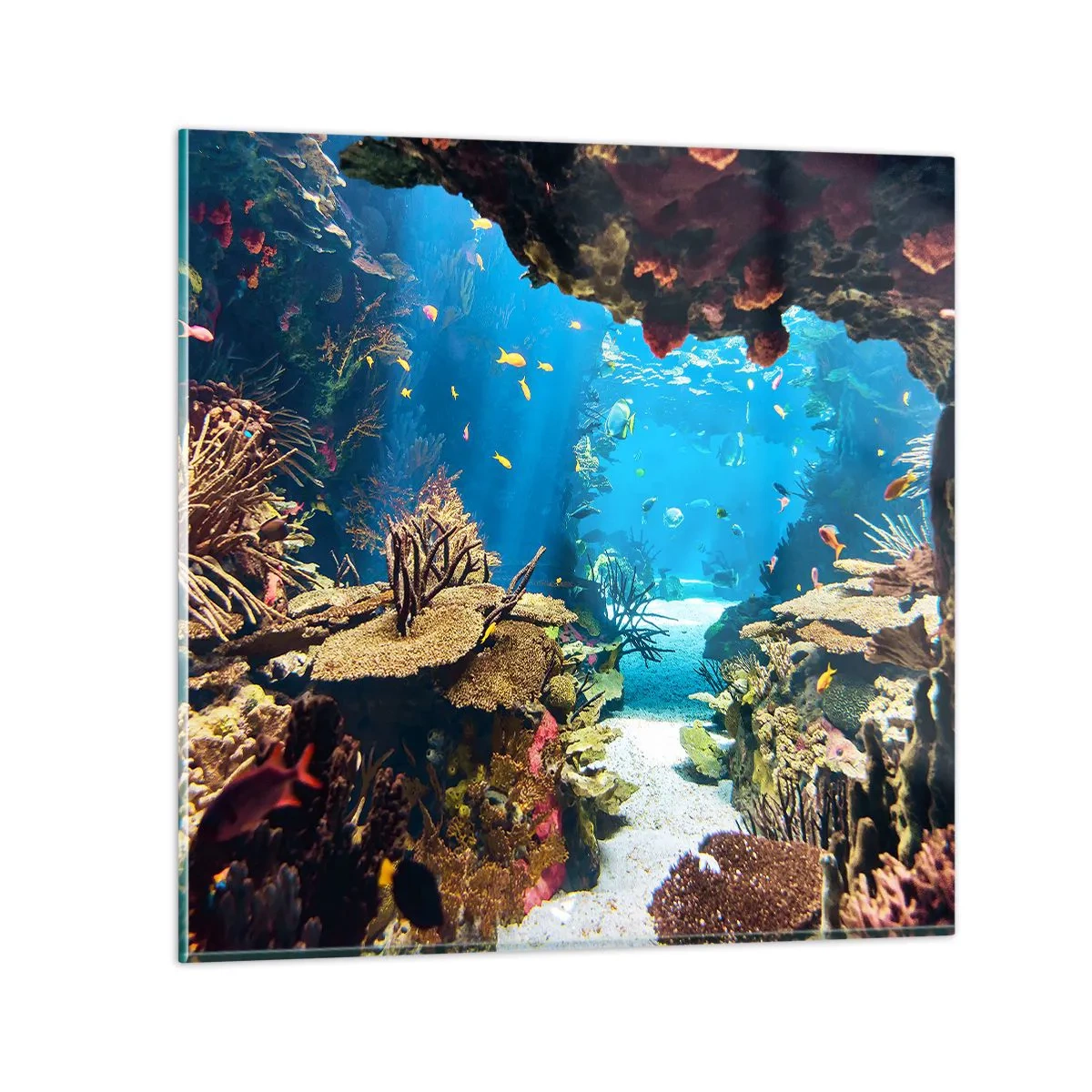 Glasbild - Bild auf glas - Du hast es noch nicht einmal geträumt - 50x50 cm