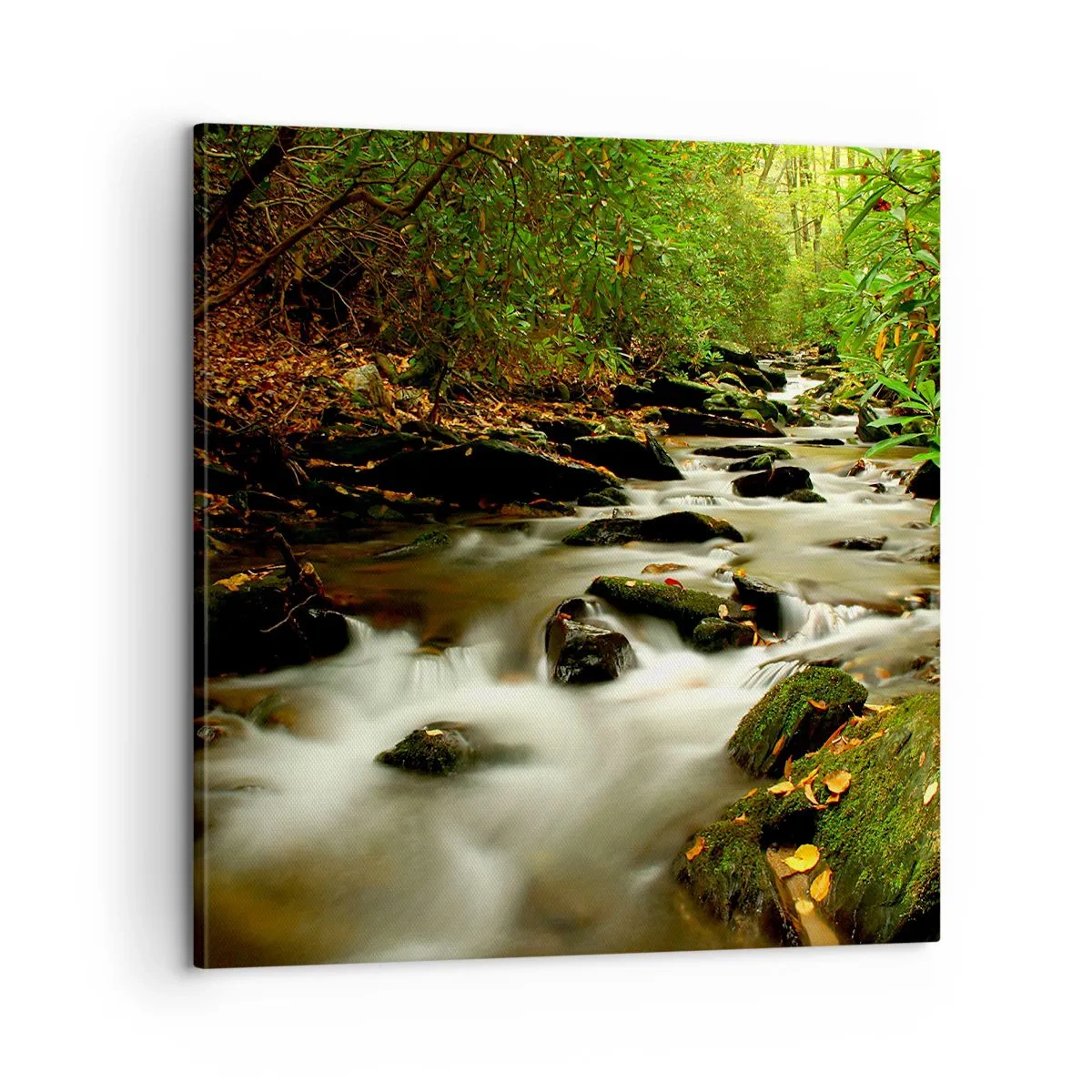 Bild auf Leinwand - Leinwandbild - Wie flüssiges Silber - 60x60 cm