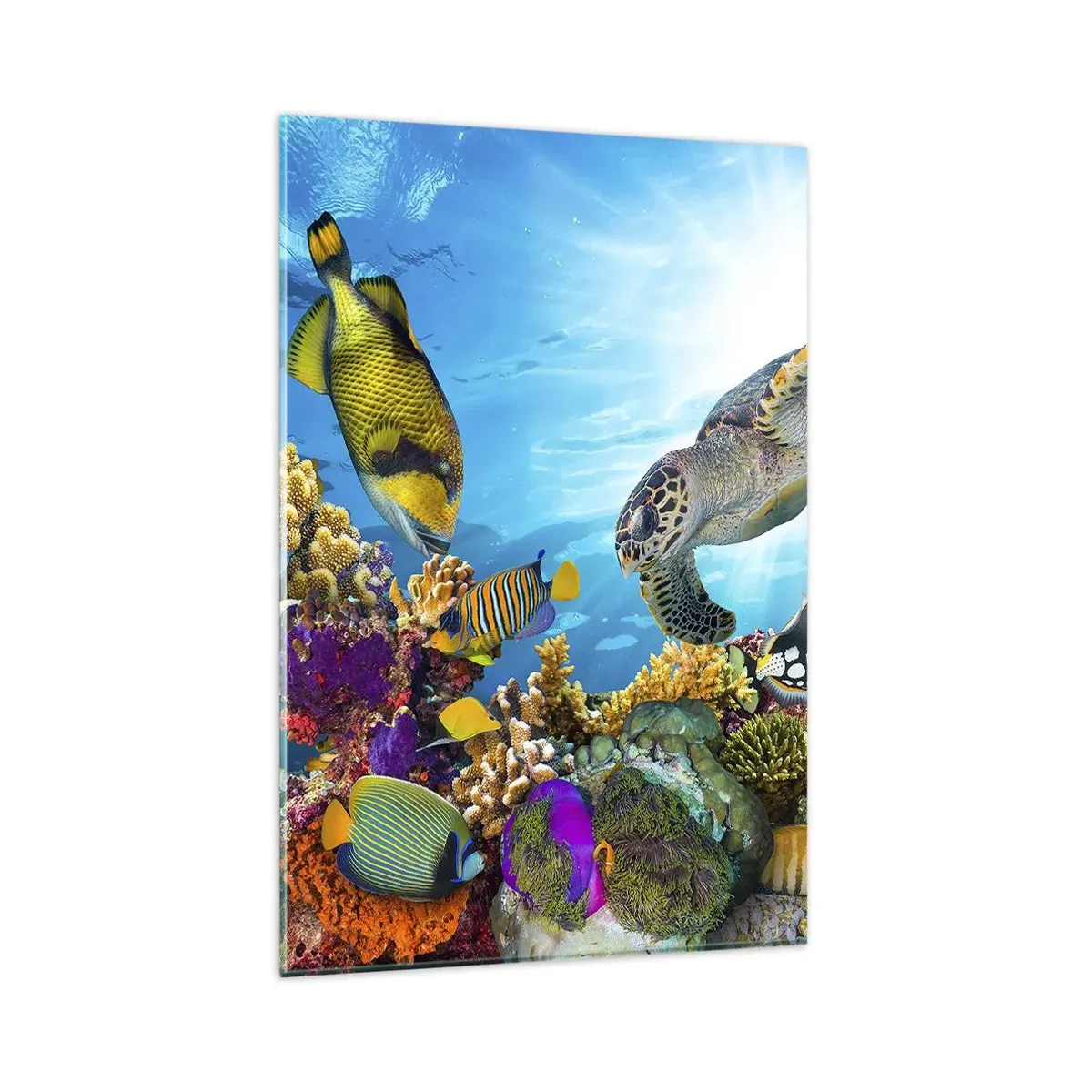 Glasbild - Bild auf glas - Unterwasserwelt mit bunten Fischen und einer Schildkröte in den Korallen - 80x120cm - Korallenpromenade - Moderne Wanddekoration für Wohnzimmer und Schlafzimmer ARTTOR