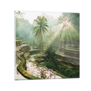 Glasbild - Bild auf glas - In der Sonne aufwachsen - 60x60 cm