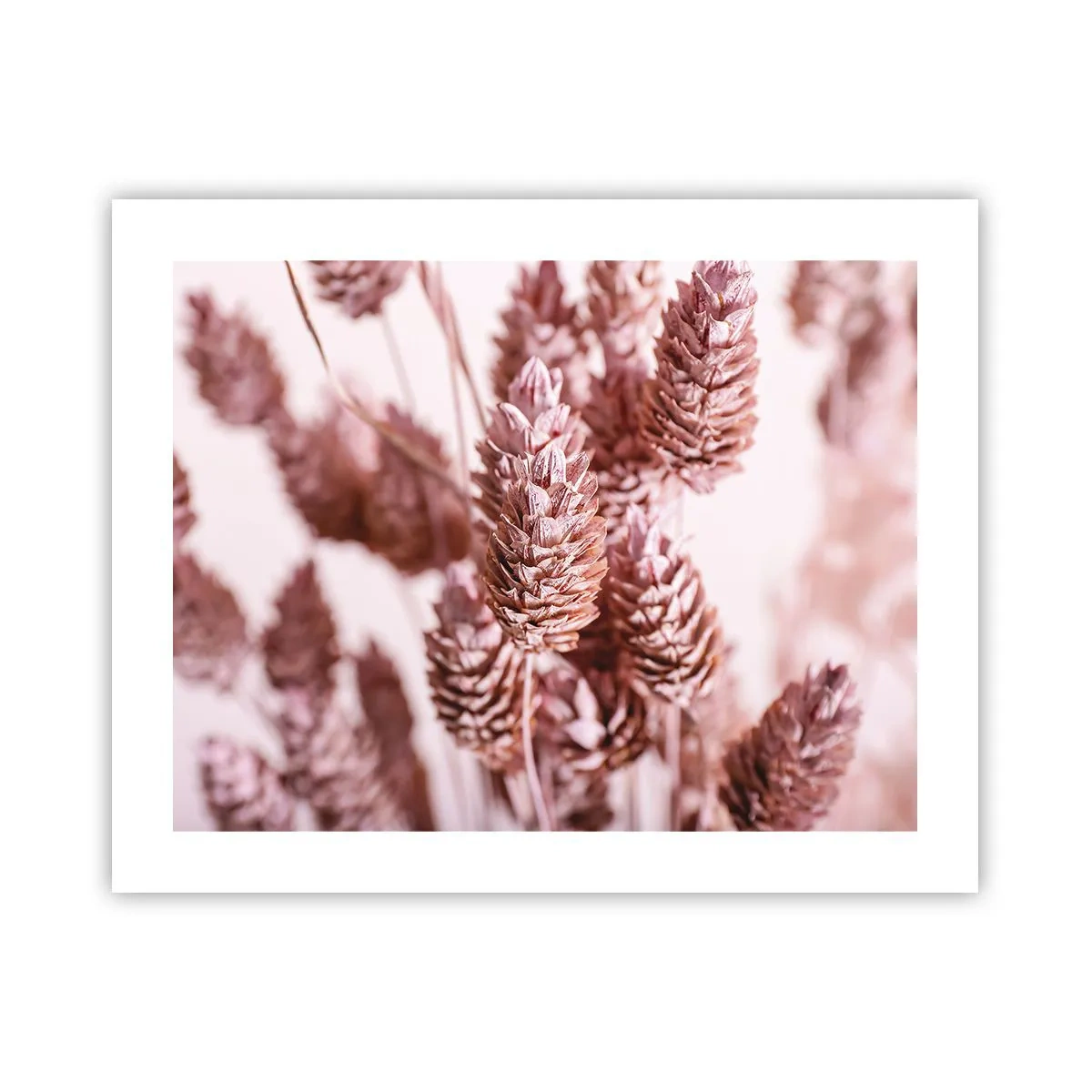 Poster - Scheinbar unauffällig - 50x40 cm