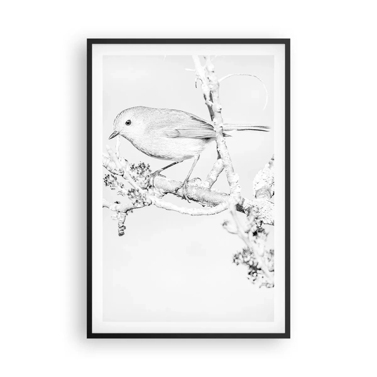 Poster in einem schwarzem Rahmen - Wintermorgen - 61x91 cm