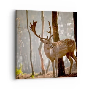 Bild auf Leinwand - Leinwandbild - Das Licht der Jugend - 30x30 cm