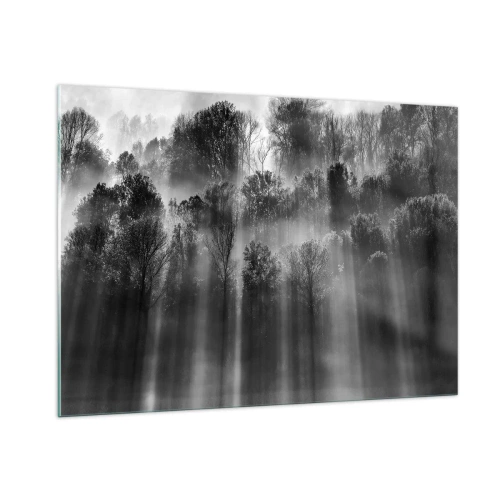 Glasbild - Bild auf glas - Schwarze und weiße Lichtstrahlen durchdringen den Wald - 100x70cm - In Lichtstrahlen - Moderne Wanddekoration für Wohnzimmer und Schlafzimmer ARTTOR