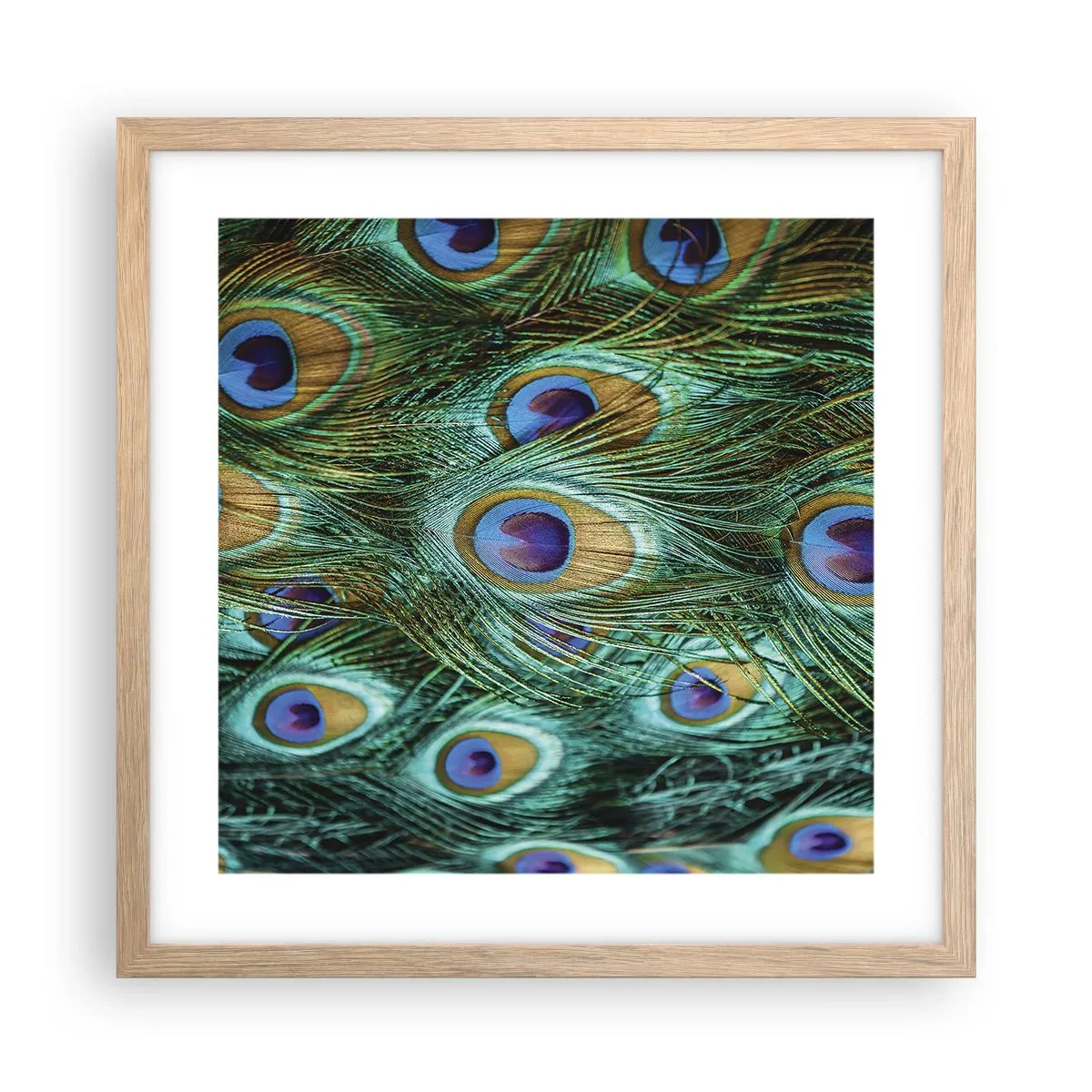 Poster in einem Rahmen aus heller Eiche - Ein Blick mit Pfauenaugen - 40x40 cm