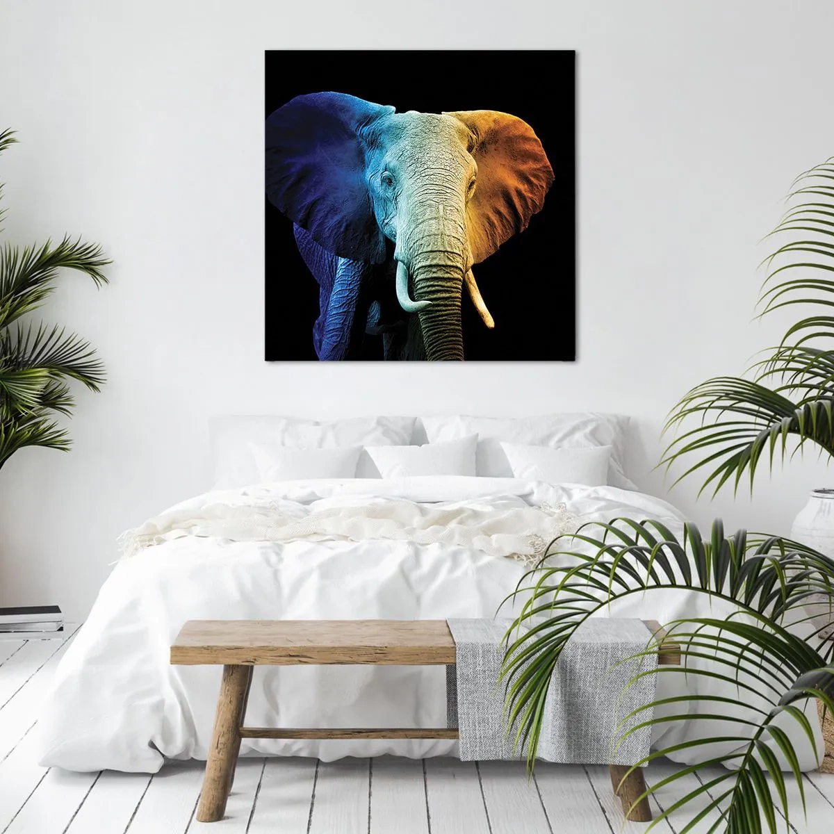 Bild auf Leinwand - Leinwandbild - Exzentrisch, kein Verrückter - 40x40 cm