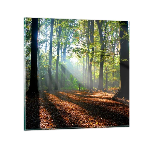 Glasbild - Bild auf glas - Licht und Schatten - 30x30 cm