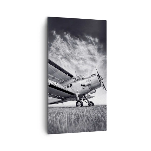 Bild auf Leinwand - Leinwandbild - Der geflügelte Wanderer - 45x80 cm