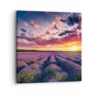 Bild auf Leinwand - Leinwandbild - Lavendel Welt - 30x30 cm