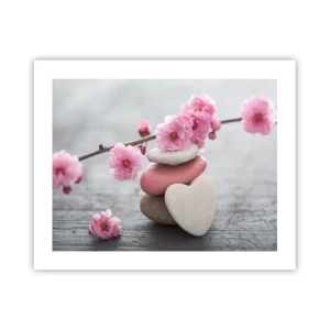 Poster - Glückseligkeit mit einer Kirschblüte - 50x40 cm
