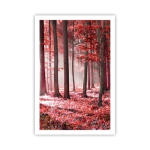 Poster - Rot ist genauso schön - 61x91 cm