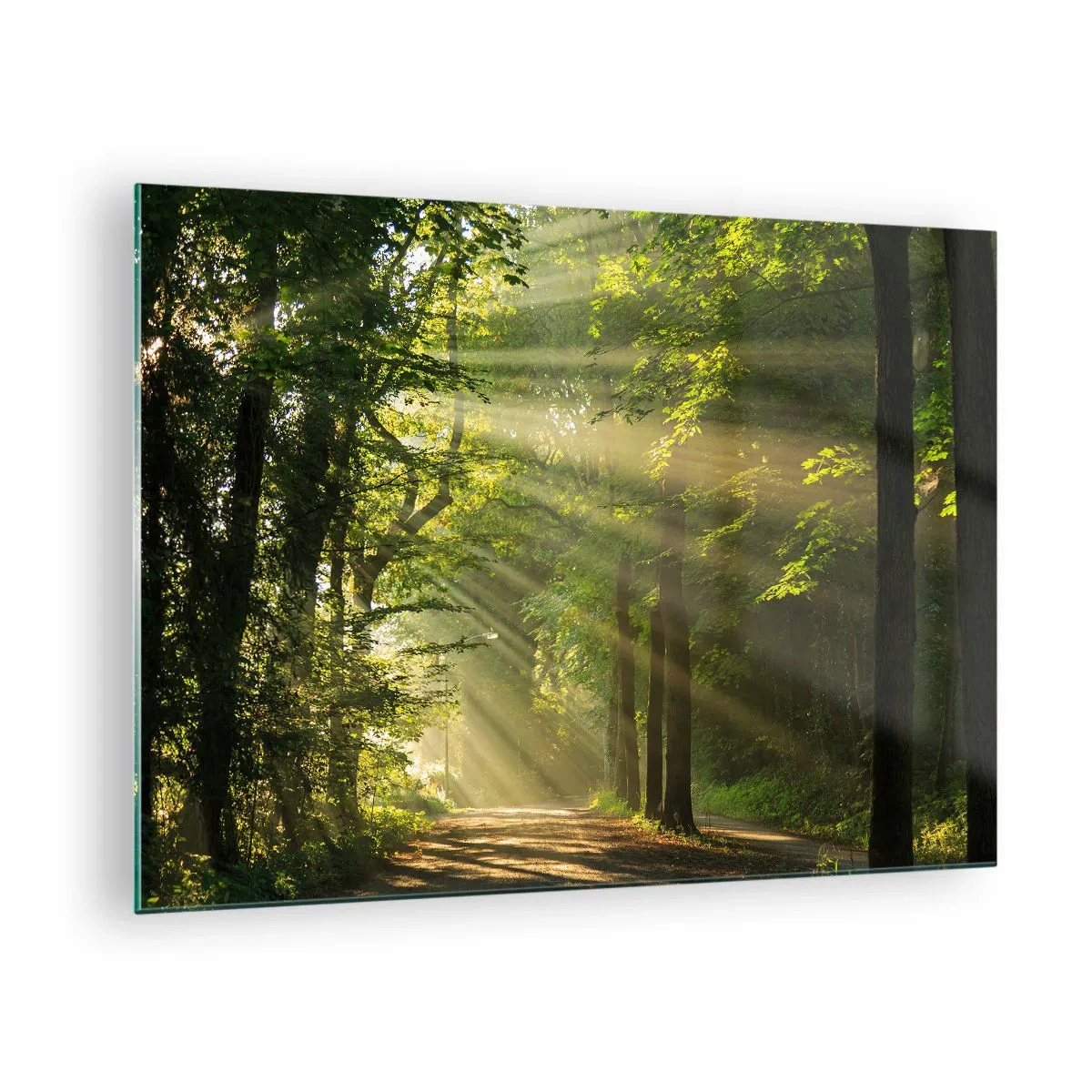 Glasbild - Bild auf glas - Ein Waldweg, beleuchtet von den Sonnenstrahlen - 70x50cm - Waldmoment - Moderne Wanddekoration für Wohnzimmer und Schlafzimmer ARTTOR