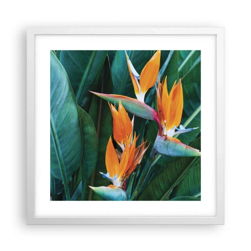 Poster in einem weißen Rahmen - Ist es eine Blume oder ist es ein Vogel? - 40x40 cm
