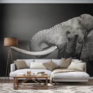 Fototapete Standard Eco - Ja, gut jetzt - Tiere, Elefant, Afrika - 150x105 cm