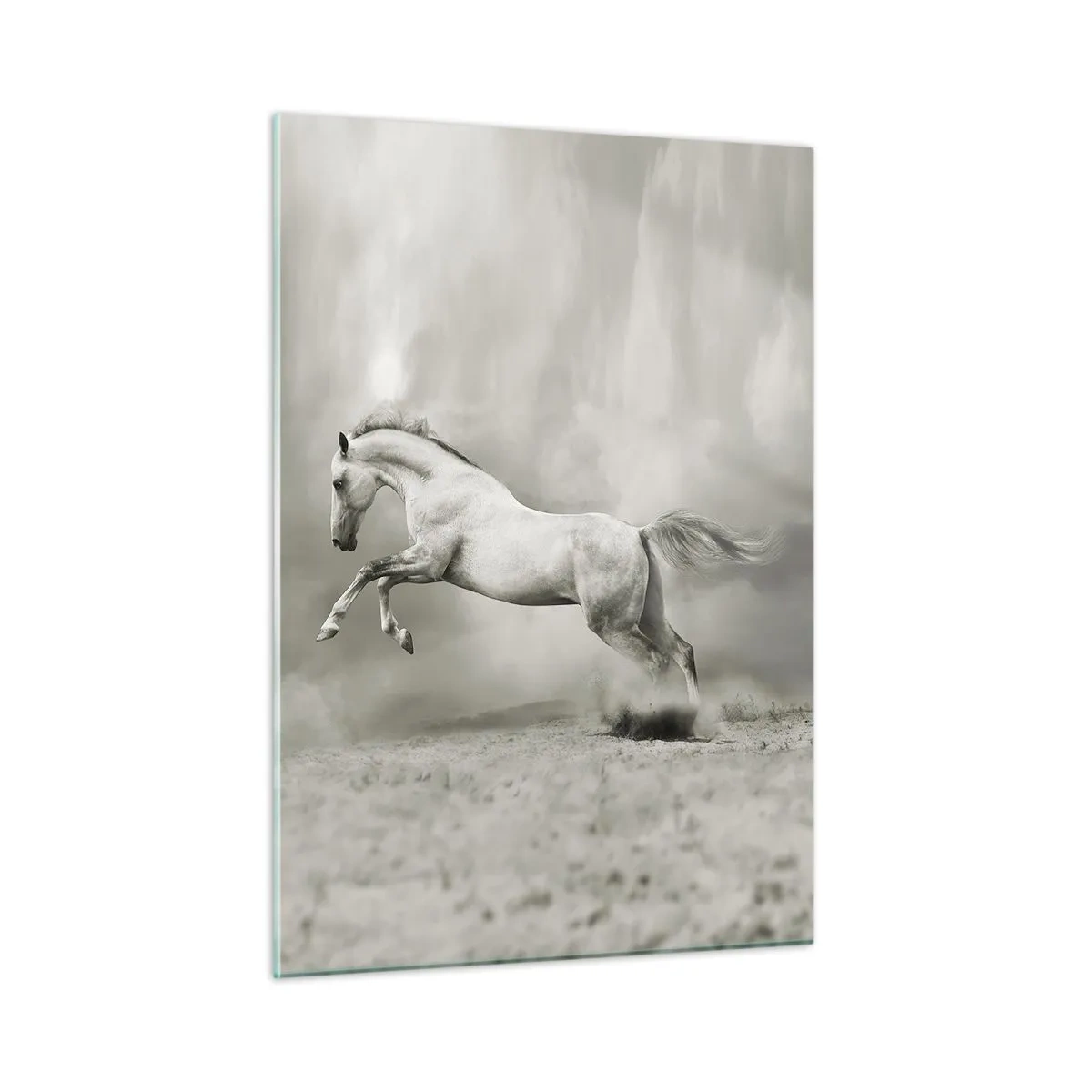 Glasbild - Bild auf glas - Ein weißes Pferd springt gegen die Wolken - 50x70cm - Zwischen Aufwachen und Schlafen - Moderne Wanddekoration für Wohnzimmer und Schlafzimmer ARTTOR