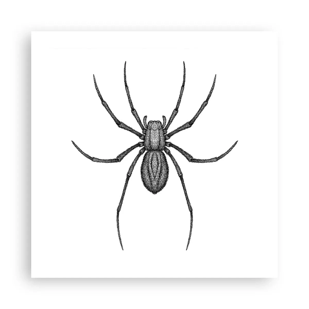 Poster - Beunruhigende Präzision - 50x50 cm