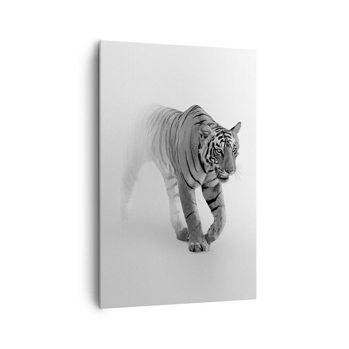 Bild auf Leinwand - Leinwandbild - Ein Tiger taucht aus dem Nebel auf - 80x120cm - Im Nebel gelauert - Moderne Wanddekoration für Wohnzimmer und Schlafzimmer ARTTOR